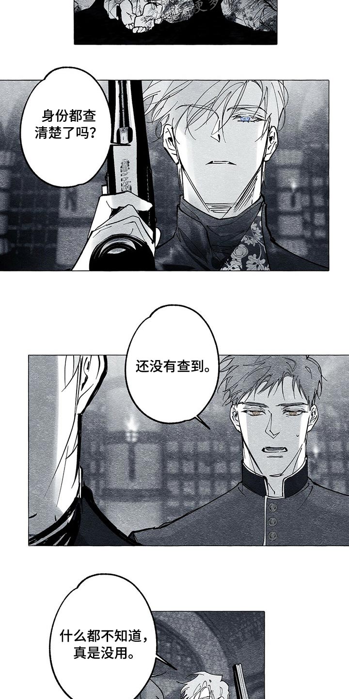 《面纱里的影》漫画最新章节第42章：审讯免费下拉式在线观看章节第【17】张图片