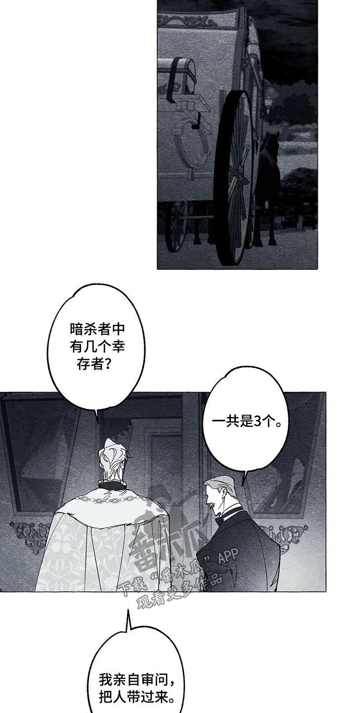 《面纱里的影》漫画最新章节第42章：审讯免费下拉式在线观看章节第【20】张图片