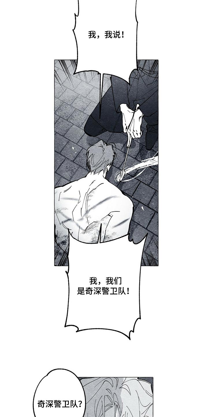 《面纱里的影》漫画最新章节第42章：审讯免费下拉式在线观看章节第【11】张图片