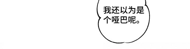 《面纱里的影》漫画最新章节第43章：画集免费下拉式在线观看章节第【1】张图片