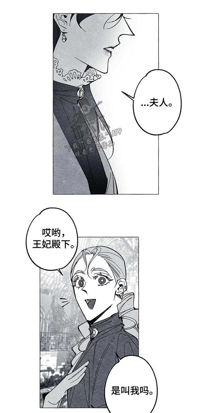 《面纱里的影》漫画最新章节第43章：画集免费下拉式在线观看章节第【7】张图片