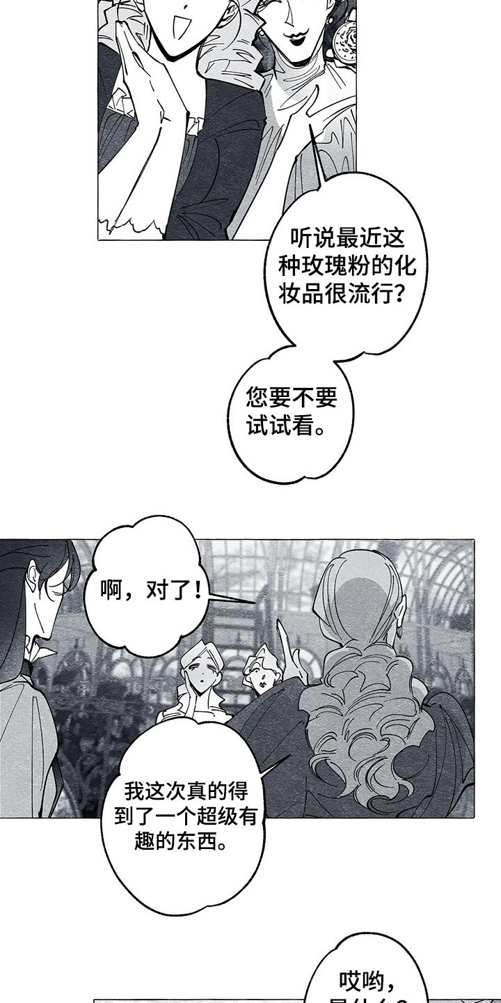 《面纱里的影》漫画最新章节第43章：画集免费下拉式在线观看章节第【14】张图片