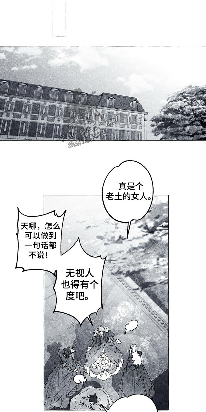 《面纱里的影》漫画最新章节第43章：画集免费下拉式在线观看章节第【2】张图片