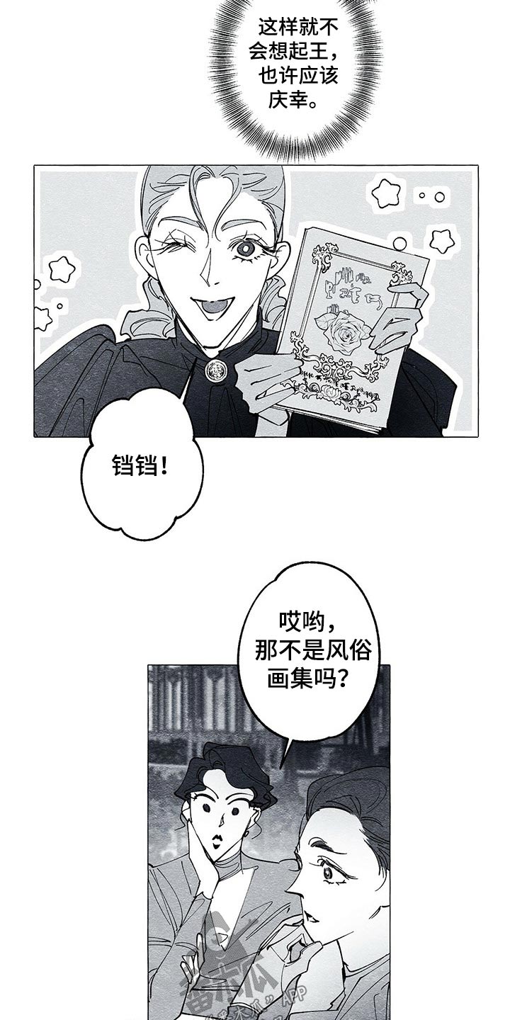 《面纱里的影》漫画最新章节第43章：画集免费下拉式在线观看章节第【12】张图片