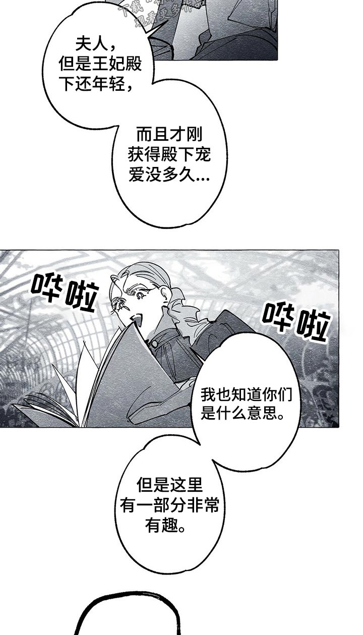 《面纱里的影》漫画最新章节第43章：画集免费下拉式在线观看章节第【11】张图片