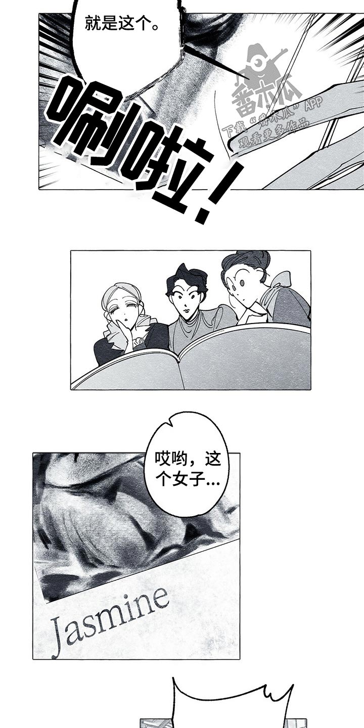 《面纱里的影》漫画最新章节第43章：画集免费下拉式在线观看章节第【10】张图片