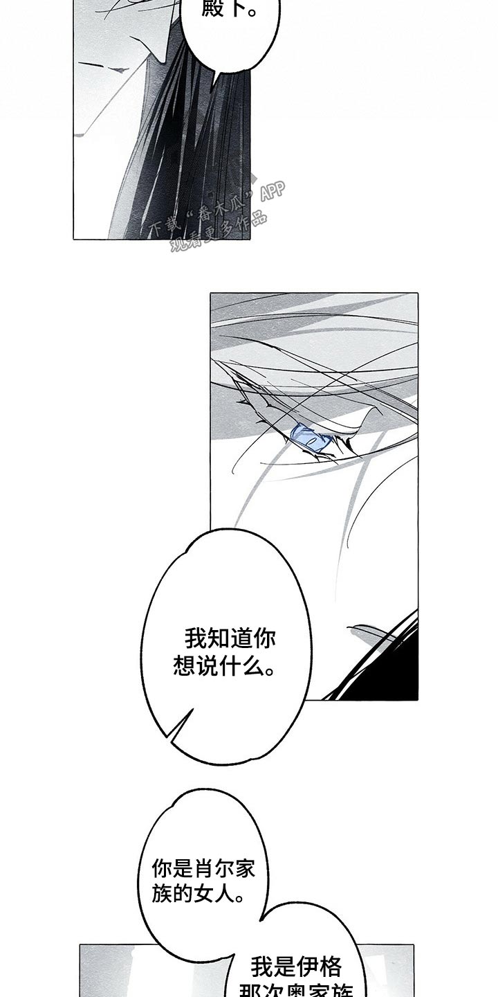 《面纱里的影》漫画最新章节第44章：原因免费下拉式在线观看章节第【13】张图片