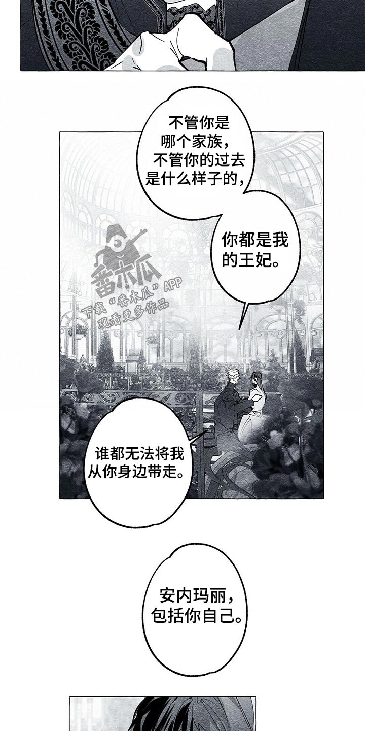 《面纱里的影》漫画最新章节第44章：原因免费下拉式在线观看章节第【7】张图片