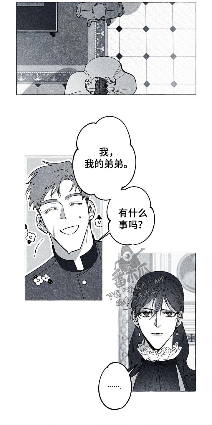 《面纱里的影》漫画最新章节第45章：查清楚免费下拉式在线观看章节第【3】张图片