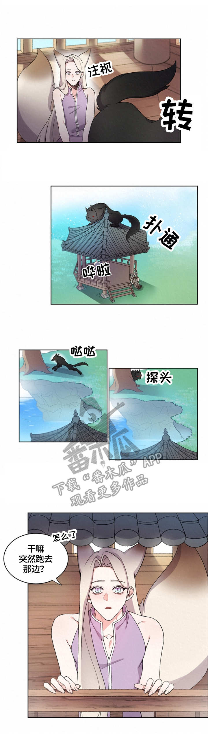 《狐狼变》漫画最新章节第7章：狼免费下拉式在线观看章节第【2】张图片