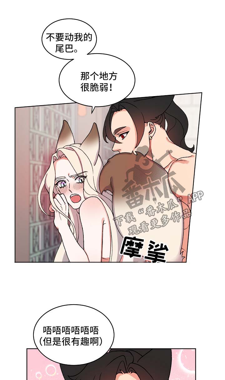 《狐狼变》漫画最新章节第22章：尾巴免费下拉式在线观看章节第【4】张图片