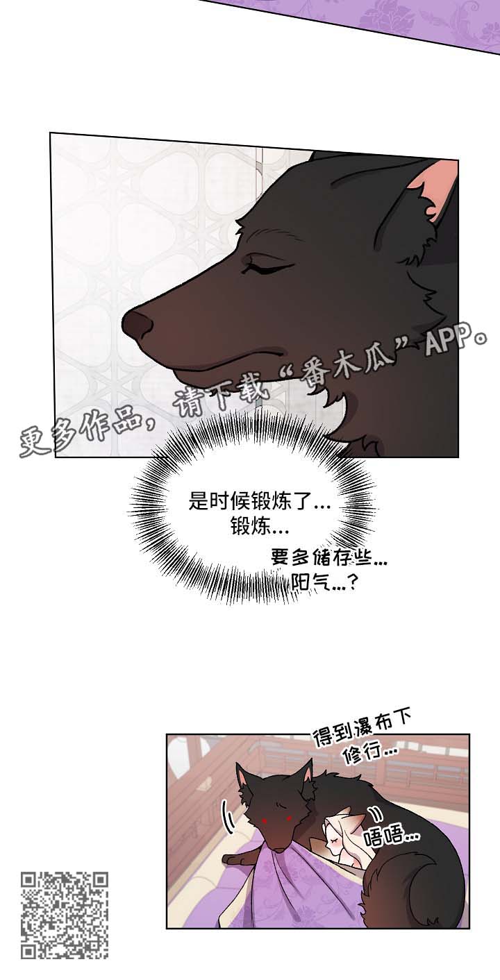 《狐狼变》漫画最新章节第23章：要修炼免费下拉式在线观看章节第【1】张图片