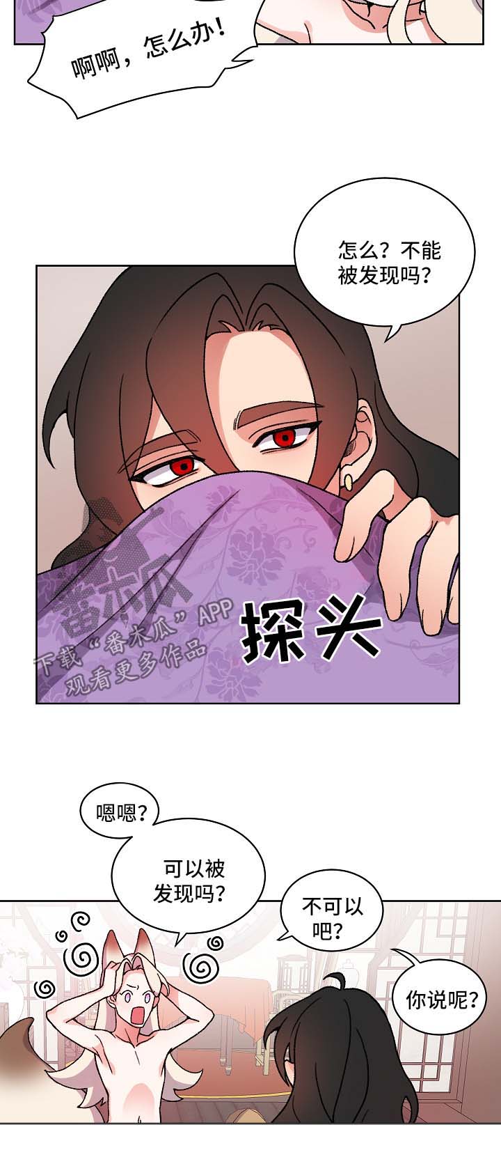 《狐狼变》漫画最新章节第24章：皇太子免费下拉式在线观看章节第【4】张图片