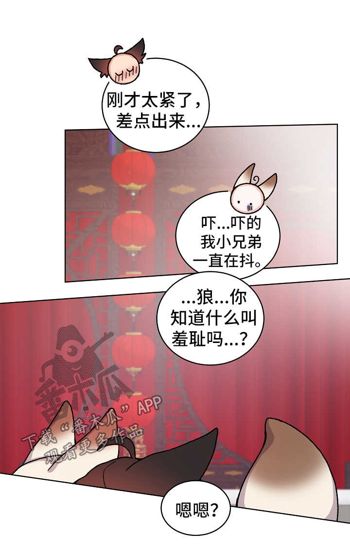 《狐狼变》漫画最新章节第32章：羞耻免费下拉式在线观看章节第【9】张图片