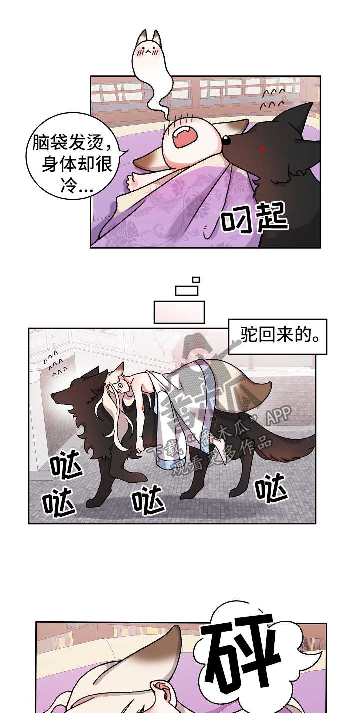 《狐狼变》漫画最新章节第33章：不回去也可以免费下拉式在线观看章节第【6】张图片