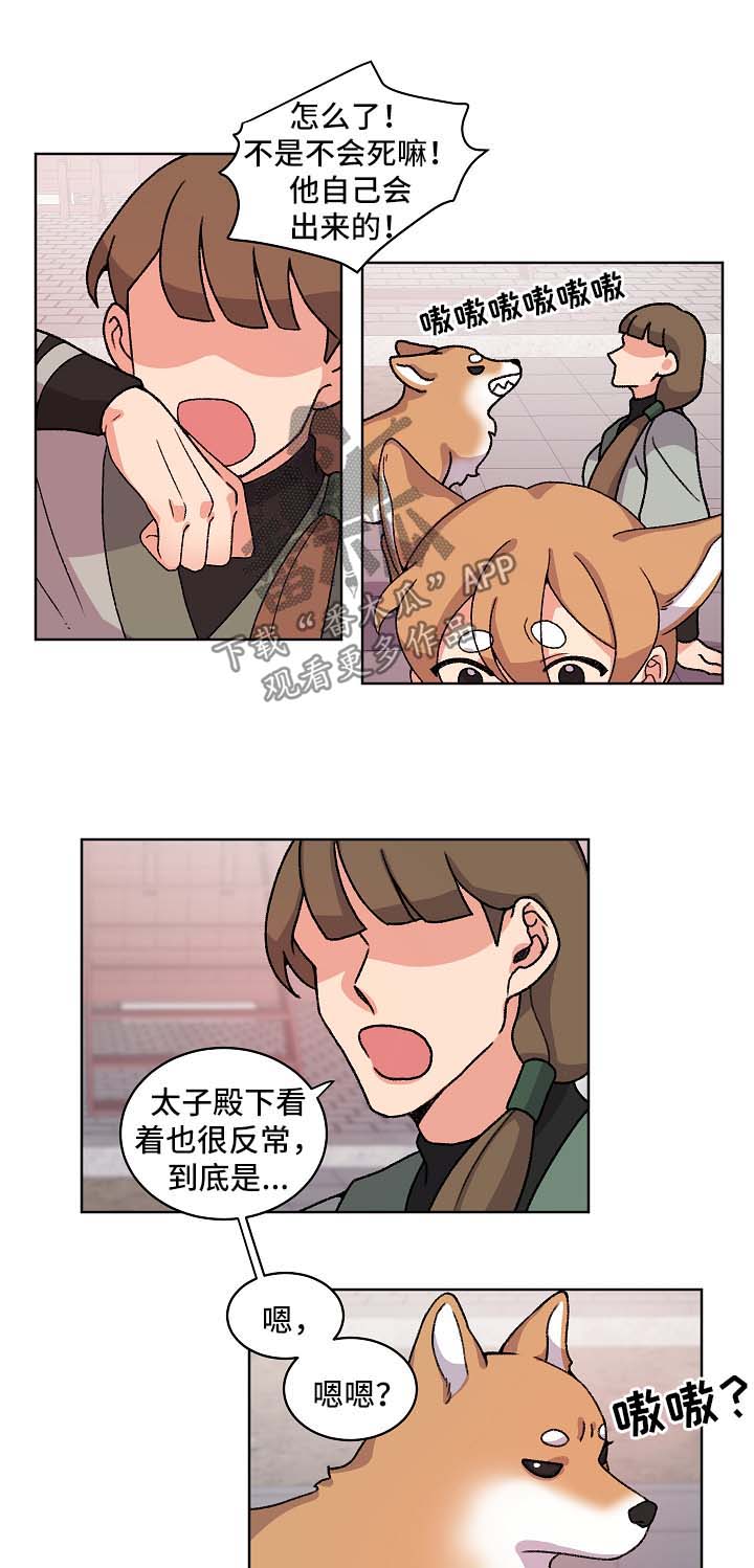 《狐狼变》漫画最新章节第41章：报复免费下拉式在线观看章节第【9】张图片