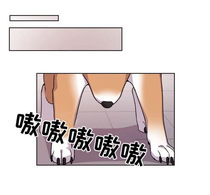 《狐狼变》漫画最新章节第41章：报复免费下拉式在线观看章节第【10】张图片