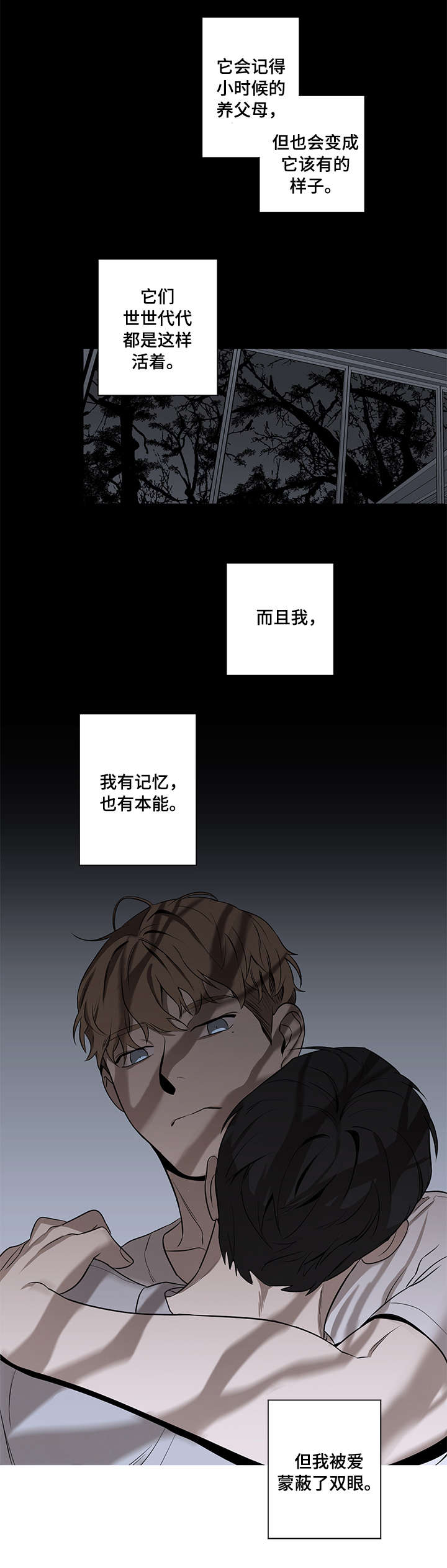 《飞鸟归巢》漫画最新章节第10章：不会让你逃开免费下拉式在线观看章节第【3】张图片