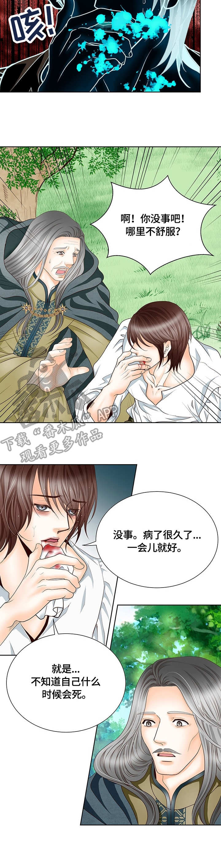 《玲珑之心》漫画最新章节第9章：大魔法师免费下拉式在线观看章节第【11】张图片