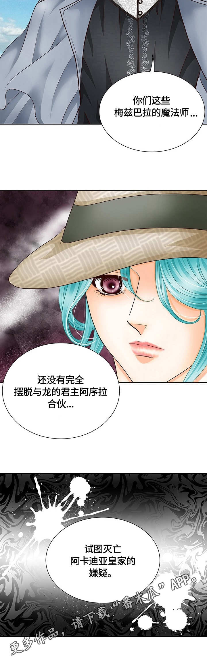 《玲珑之心》漫画最新章节第15章：秘闻免费下拉式在线观看章节第【9】张图片