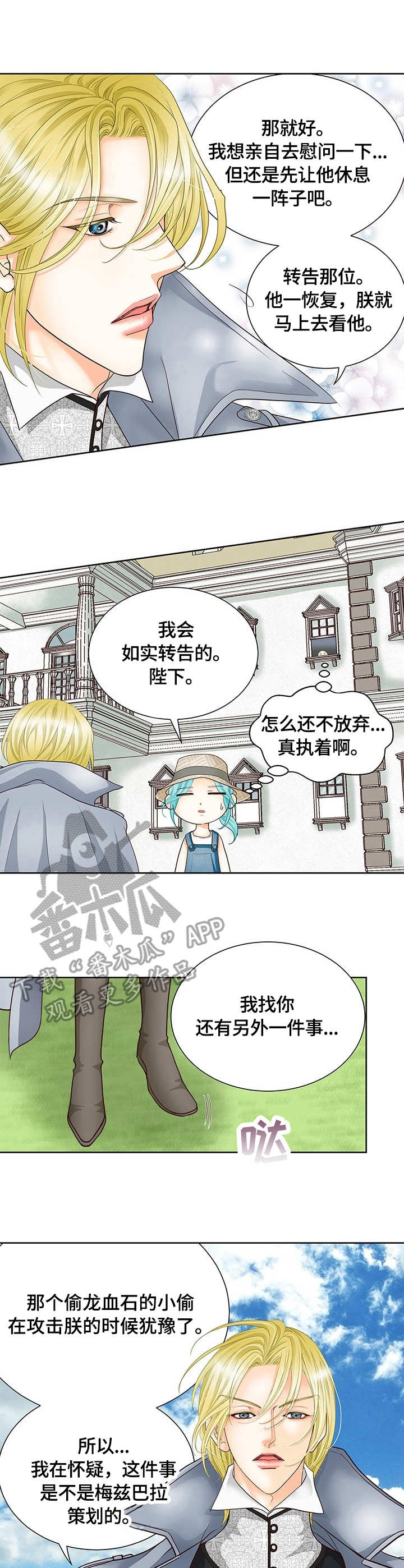 《玲珑之心》漫画最新章节第15章：秘闻免费下拉式在线观看章节第【10】张图片