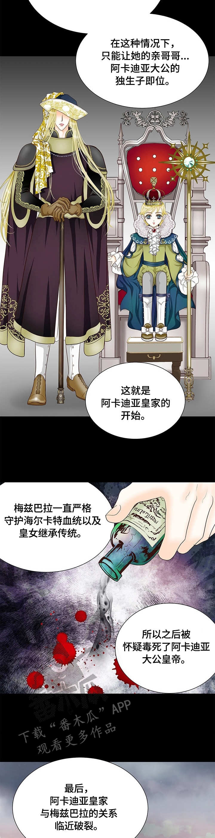 《玲珑之心》漫画最新章节第15章：秘闻免费下拉式在线观看章节第【6】张图片