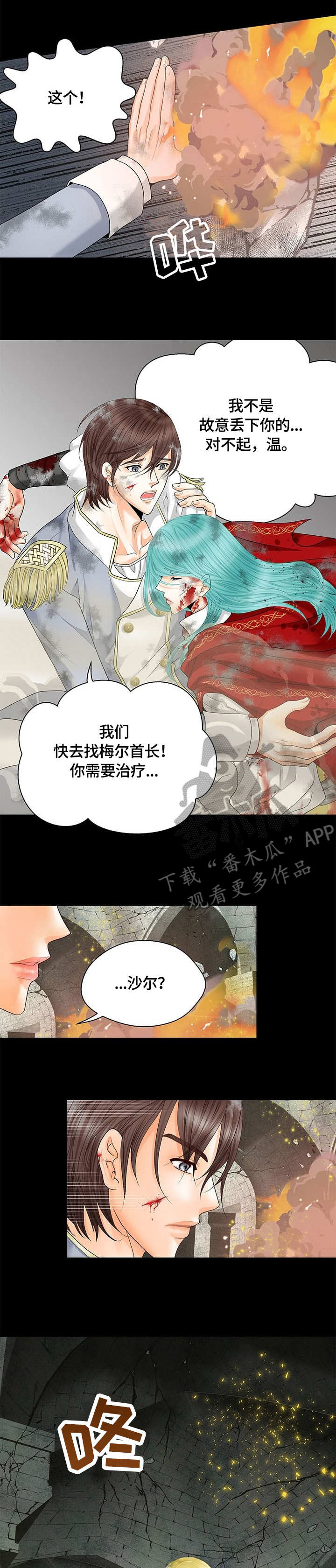 《玲珑之心》漫画最新章节第46章：难以置信免费下拉式在线观看章节第【12】张图片