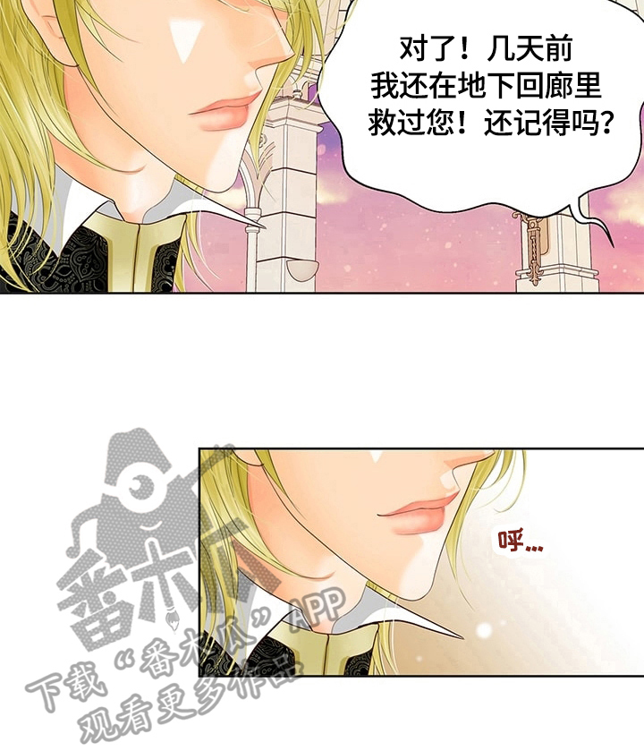 《玲珑之心》漫画最新章节第54章：标记免费下拉式在线观看章节第【6】张图片