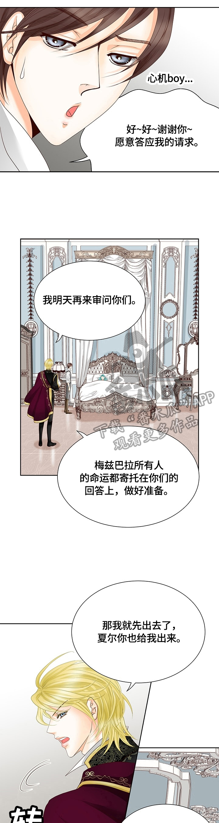 《玲珑之心》漫画最新章节第55章：安排免费下拉式在线观看章节第【5】张图片