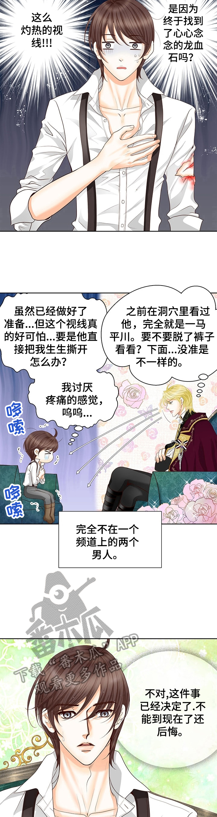 《玲珑之心》漫画最新章节第59章：决定免费下拉式在线观看章节第【2】张图片