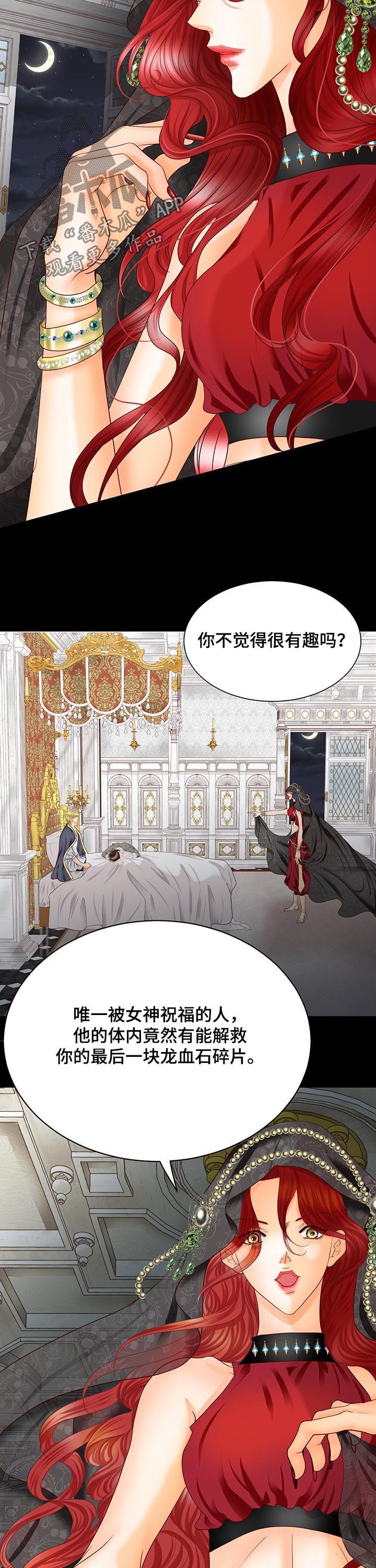 《玲珑之心》漫画最新章节第93章：诅咒免费下拉式在线观看章节第【12】张图片