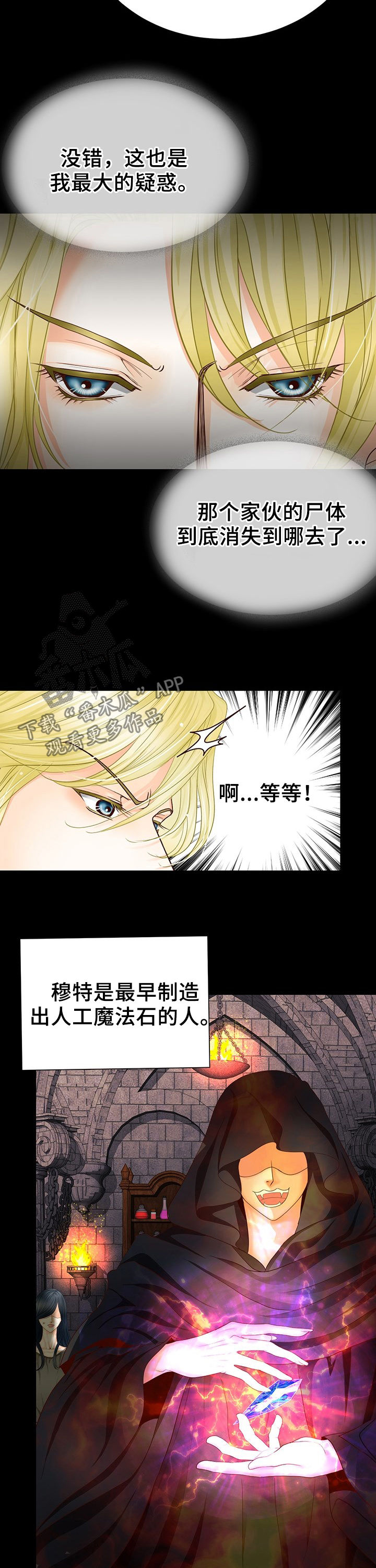 《玲珑之心》漫画最新章节第121章：人工魔法石免费下拉式在线观看章节第【13】张图片