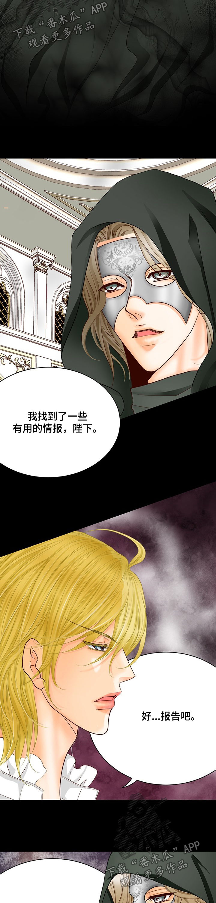 《玲珑之心》漫画最新章节第146章：番外：重要的信息免费下拉式在线观看章节第【9】张图片