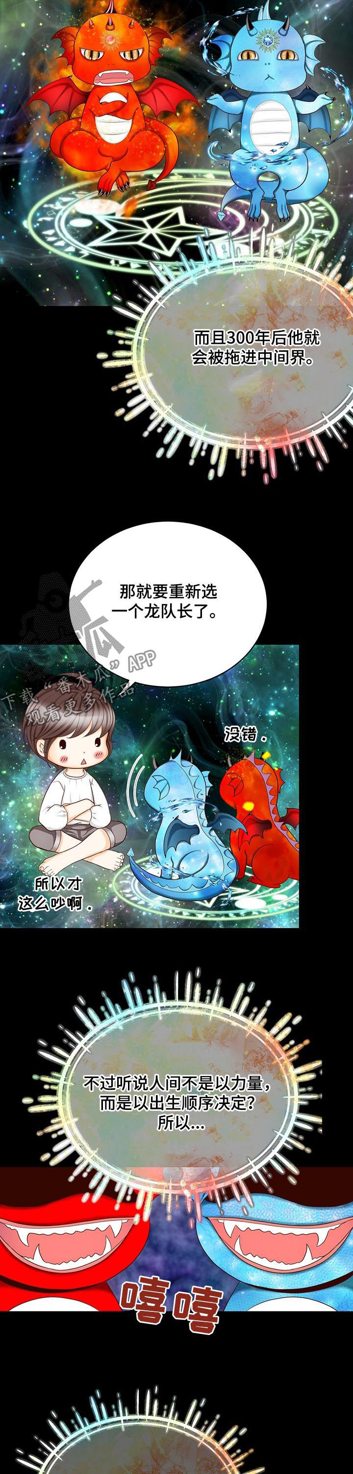 《玲珑之心》漫画最新章节第150章：番外：出生顺序免费下拉式在线观看章节第【3】张图片