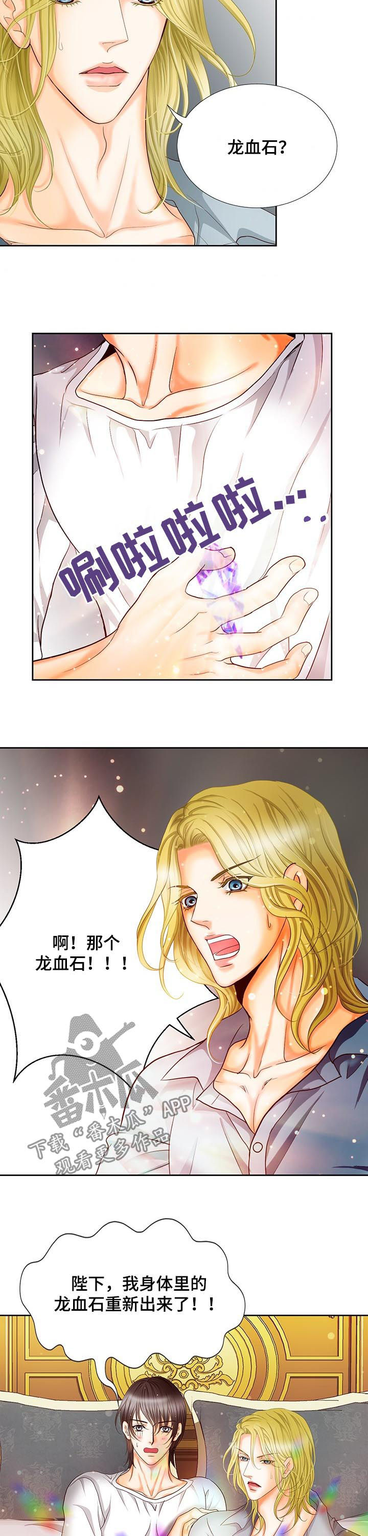 《玲珑之心》漫画最新章节第151章：番外：第一皇女免费下拉式在线观看章节第【5】张图片