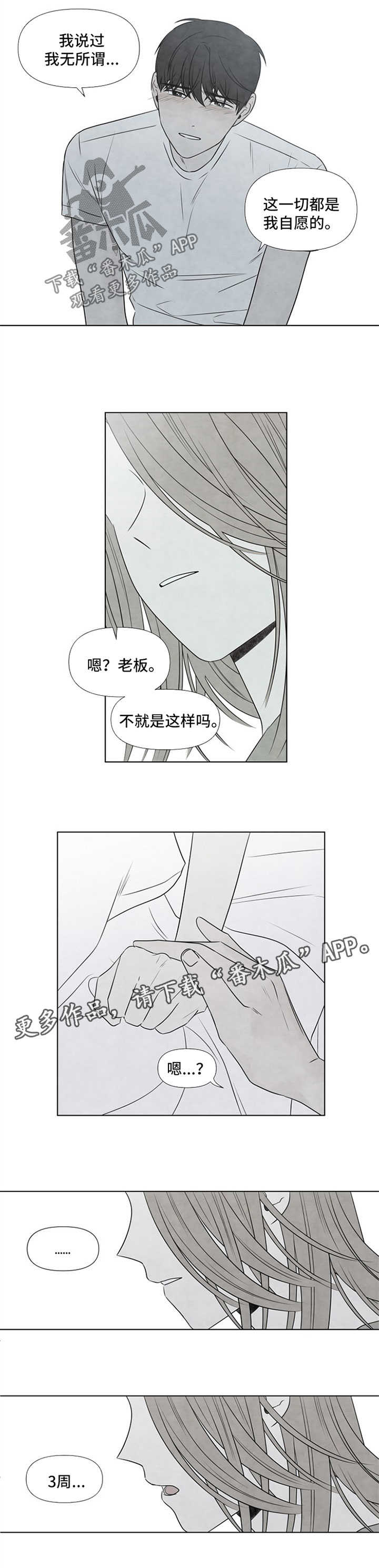 《迷情咖啡店》漫画最新章节第52章：还剩3周免费下拉式在线观看章节第【2】张图片