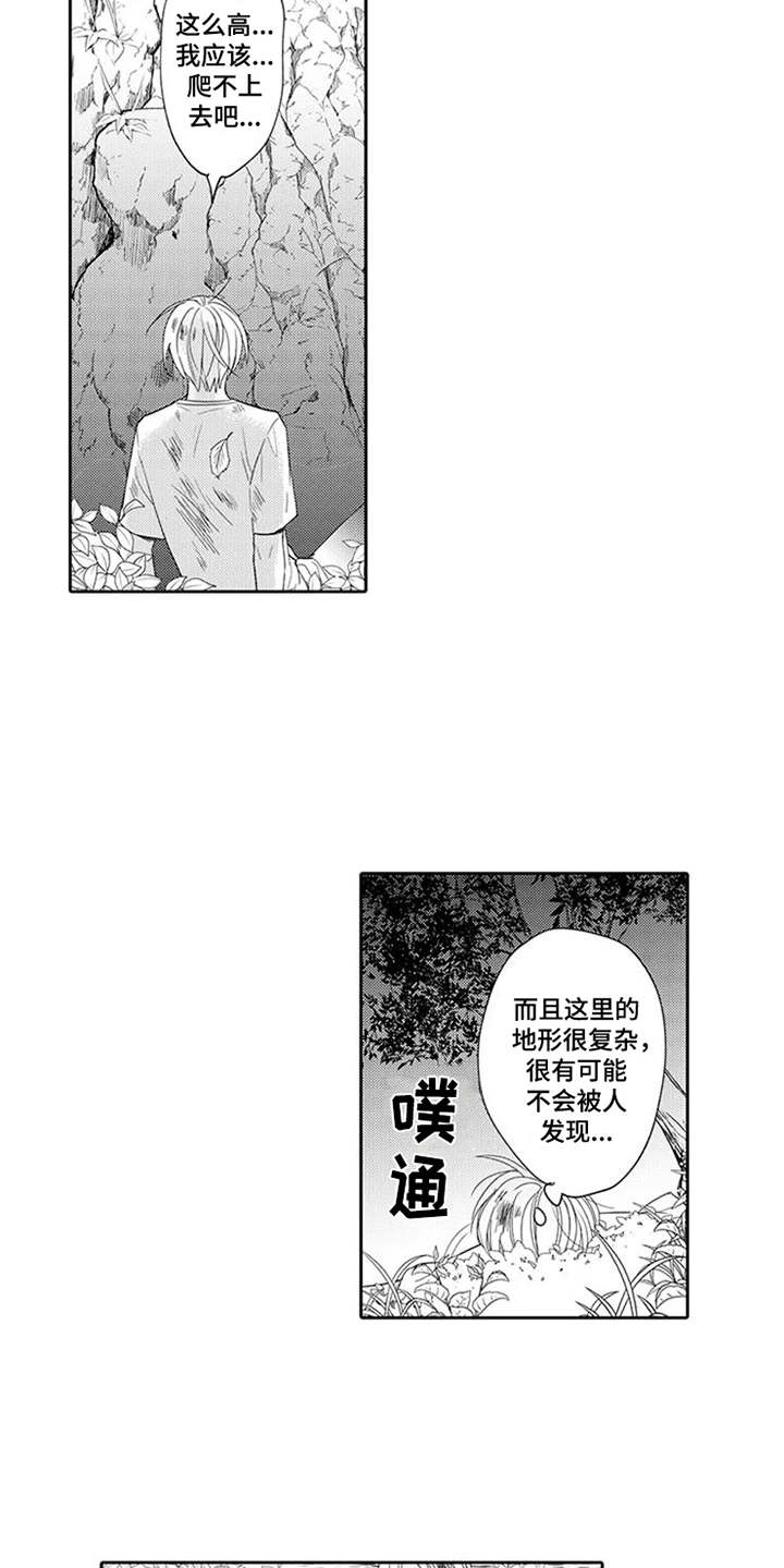 《海岛漂流》漫画最新章节第9章：摔下悬崖免费下拉式在线观看章节第【8】张图片