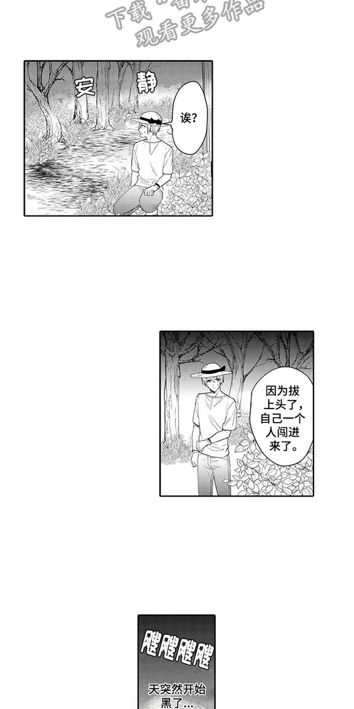 《海岛漂流》漫画最新章节第9章：摔下悬崖免费下拉式在线观看章节第【15】张图片