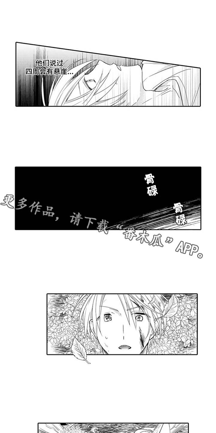 《海岛漂流》漫画最新章节第9章：摔下悬崖免费下拉式在线观看章节第【10】张图片