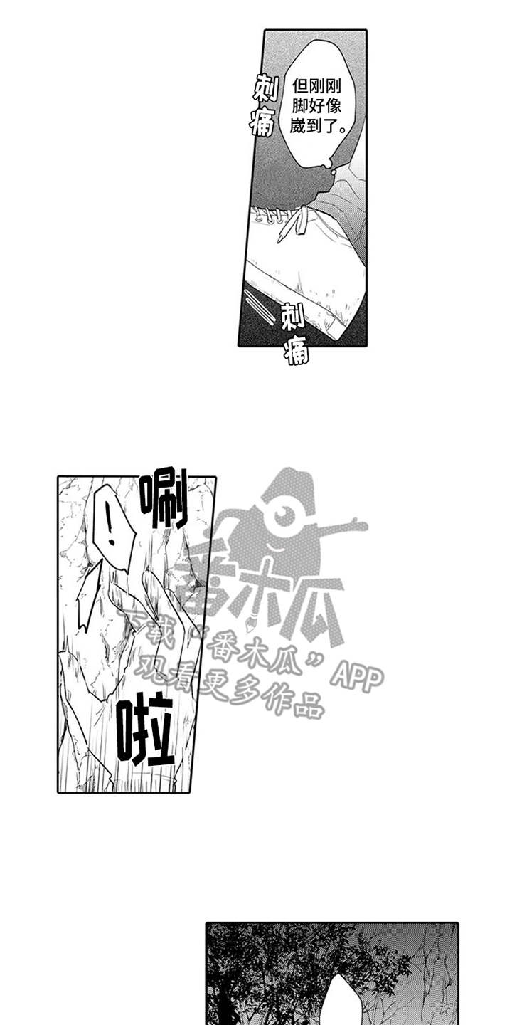 《海岛漂流》漫画最新章节第9章：摔下悬崖免费下拉式在线观看章节第【5】张图片