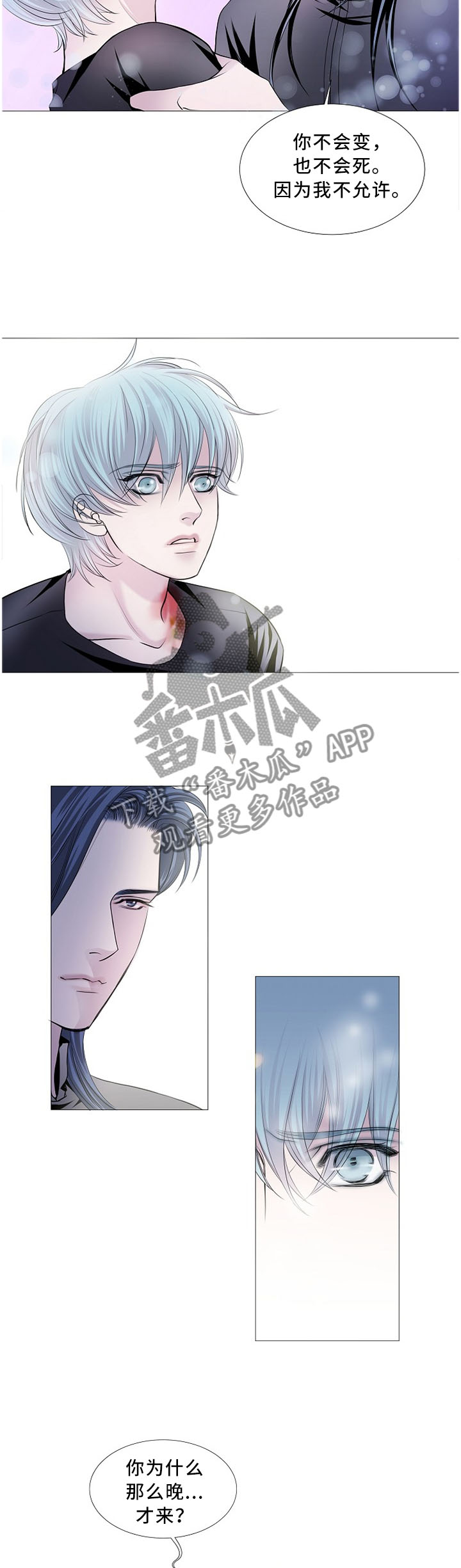 《渴望之血》漫画最新章节第80章：真正理由免费下拉式在线观看章节第【6】张图片