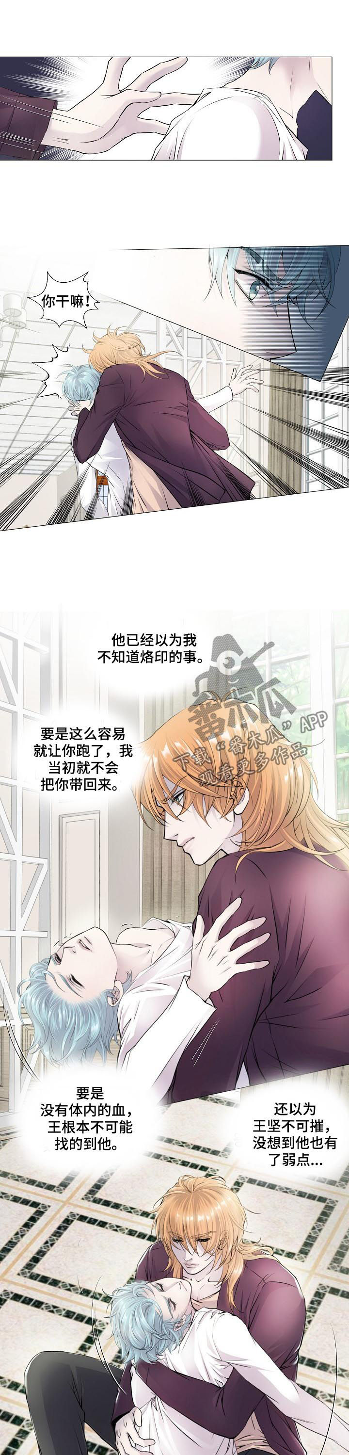 《渴望之血》漫画最新章节第114章：混血免费下拉式在线观看章节第【3】张图片