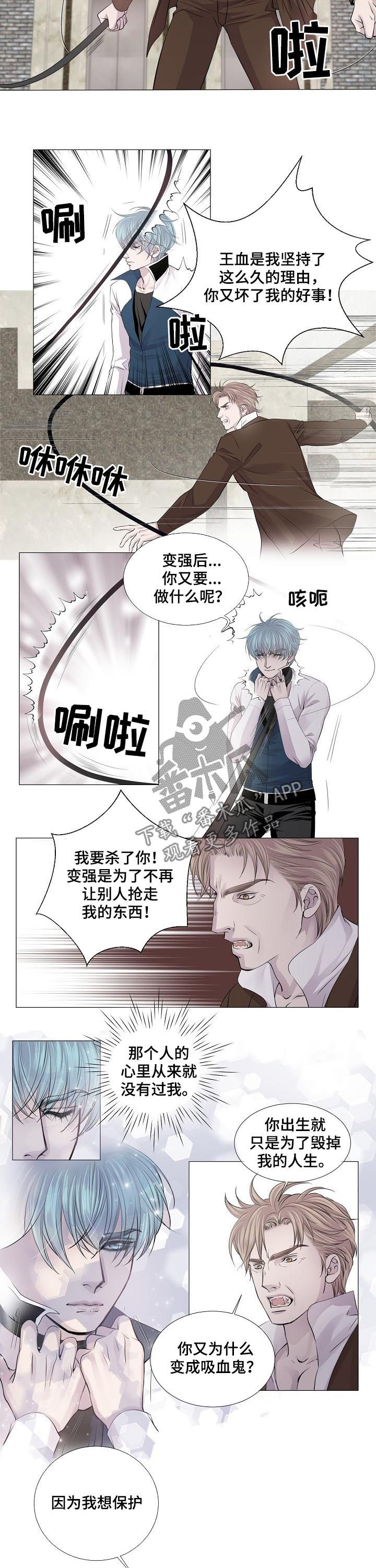 《渴望之血》漫画最新章节第189章：保护我爱的人免费下拉式在线观看章节第【3】张图片