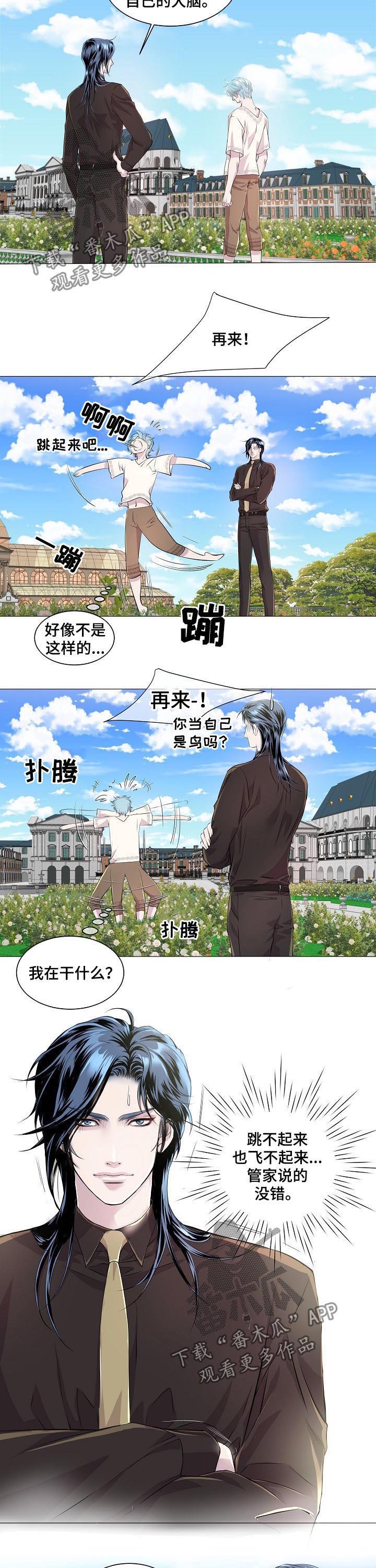 《渴望之血》漫画最新章节第199章：飞不起来免费下拉式在线观看章节第【8】张图片