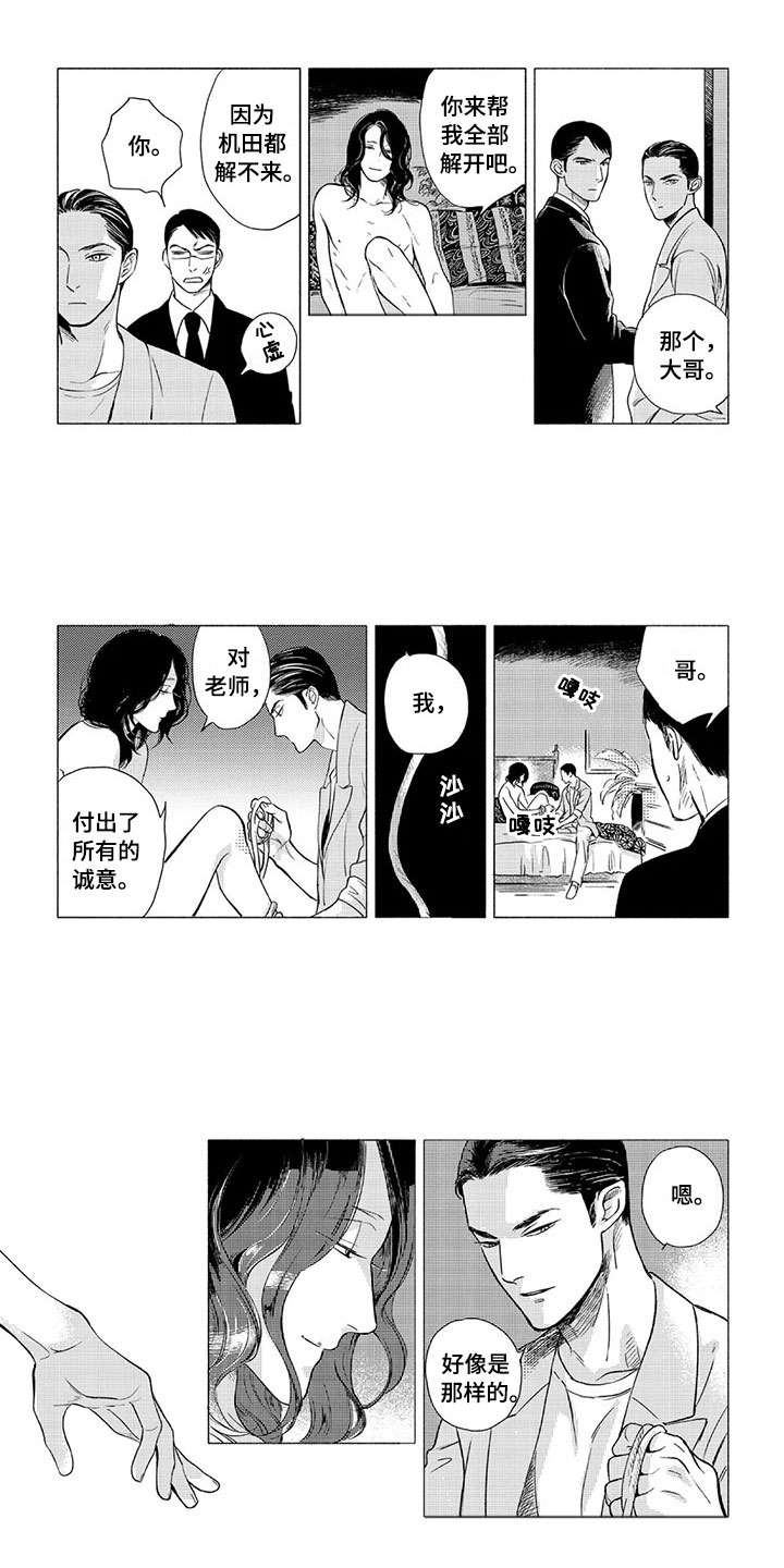 《虎与卯兔》漫画最新章节第3章：逻辑免费下拉式在线观看章节第【6】张图片