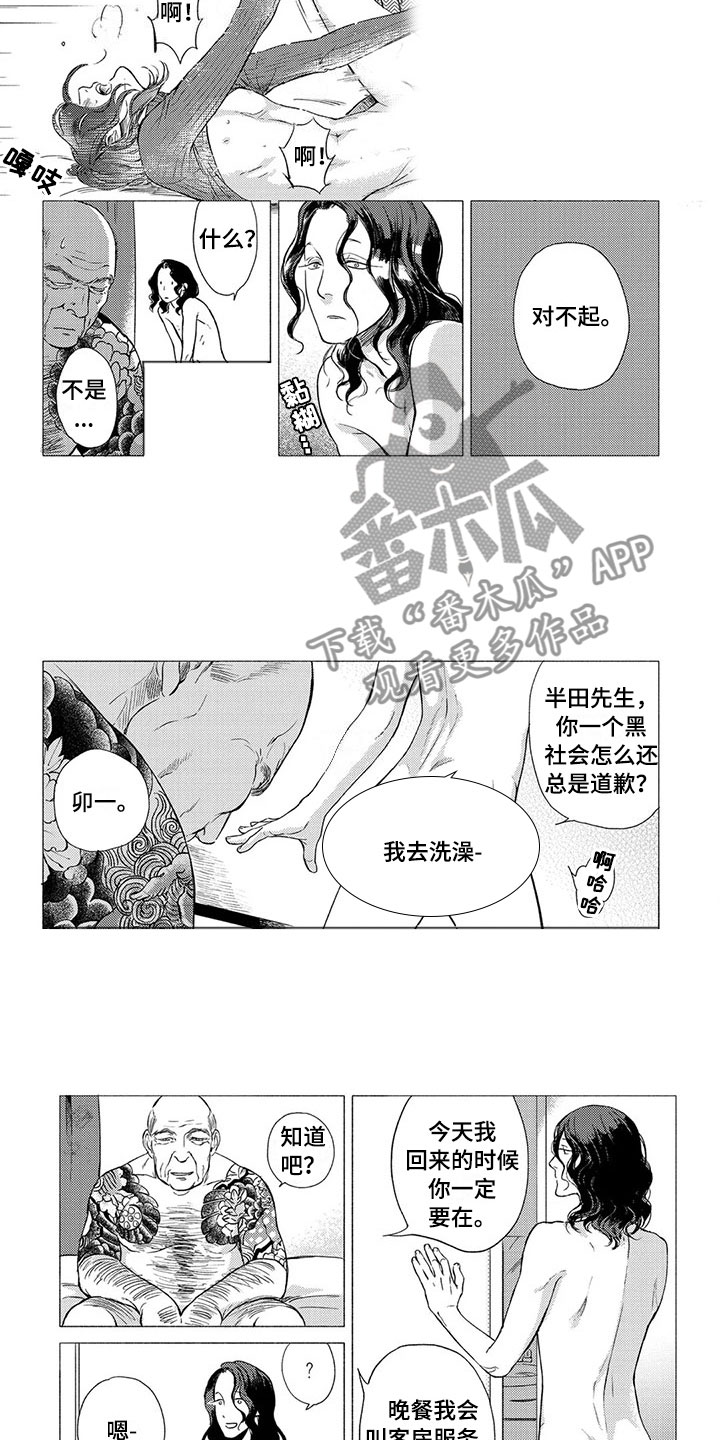 《虎与卯兔》漫画最新章节第14章：偶遇免费下拉式在线观看章节第【3】张图片