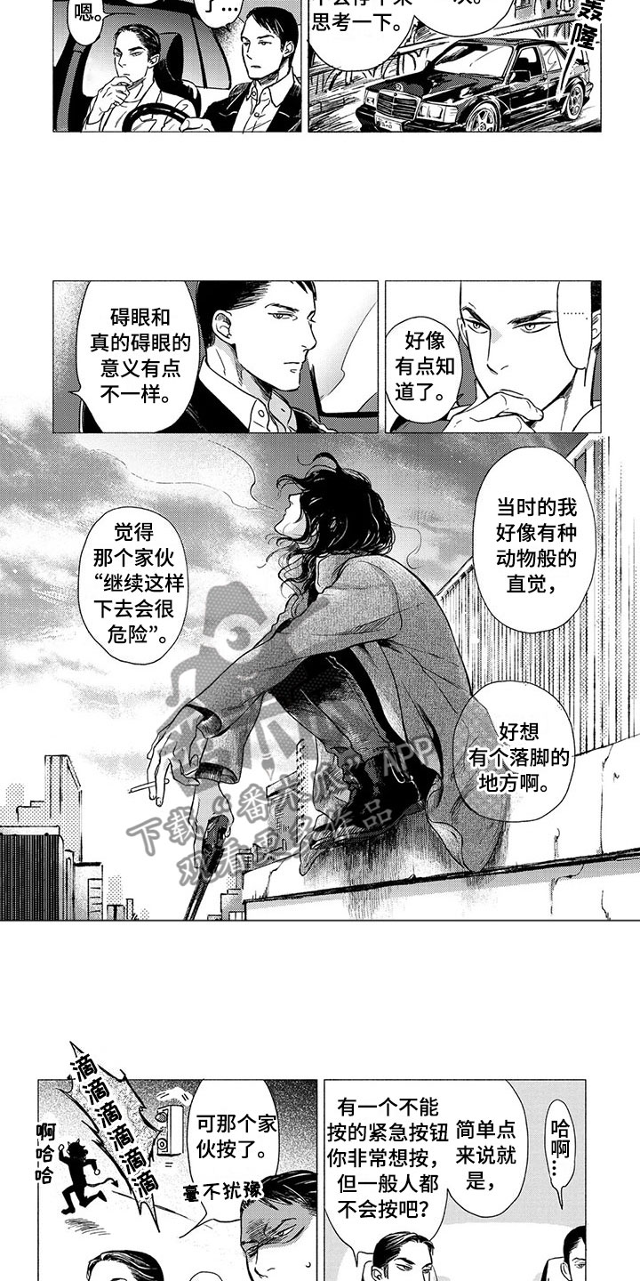 《虎与卯兔》漫画最新章节第18章：坠落免费下拉式在线观看章节第【3】张图片