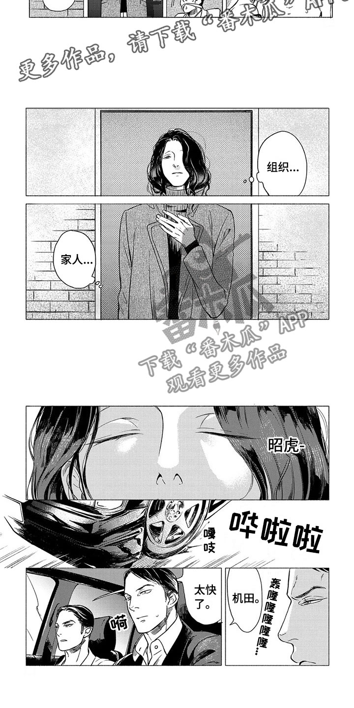 《虎与卯兔》漫画最新章节第18章：坠落免费下拉式在线观看章节第【6】张图片