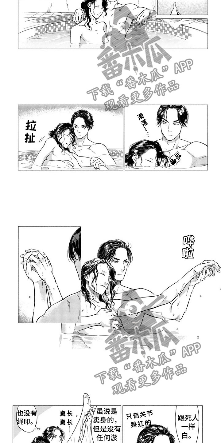 《虎与卯兔》漫画最新章节第21章：番外一免费下拉式在线观看章节第【8】张图片