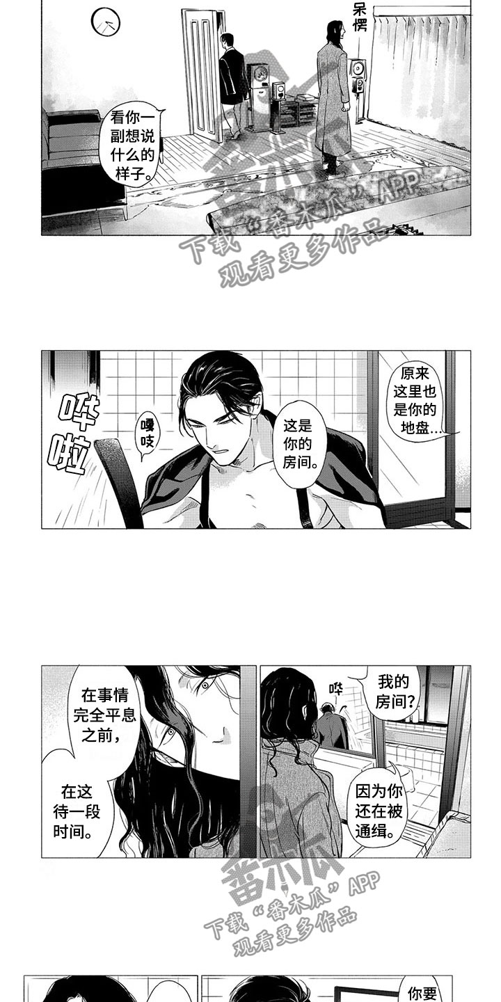 《虎与卯兔》漫画最新章节第23章：落脚地免费下拉式在线观看章节第【2】张图片